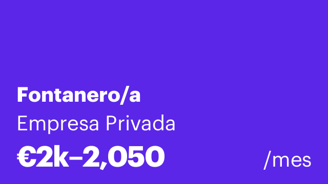 Fontanero/a