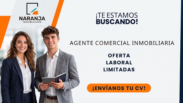 Agente comercial inmobiliario