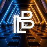 LEDBOYSS Performance logo