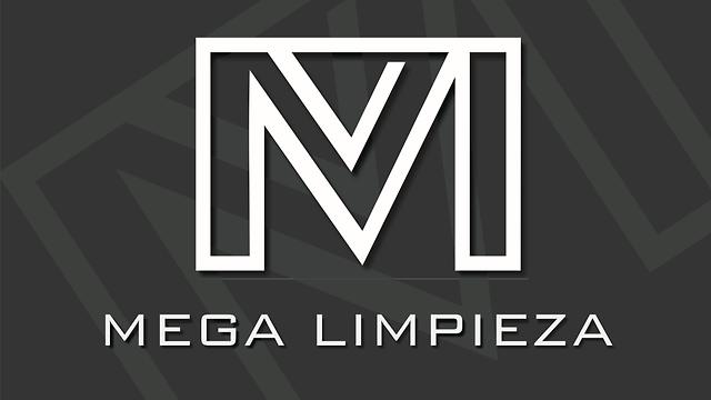 Limpia cristales