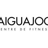 CEM Aiguajoc Borrell logo