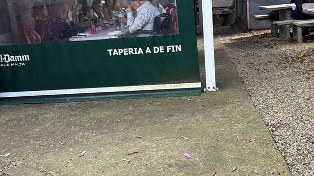 Cocinero/a y Ayudante/a de Cocina