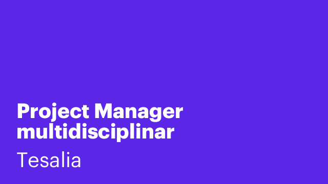 Project Manager multidisciplinar
