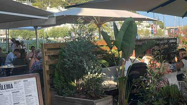 Camarero/a de Barra y Sala/Terraza