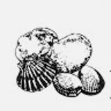 mariscos E. avatar icon