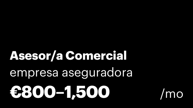 Asesor/a Comercial