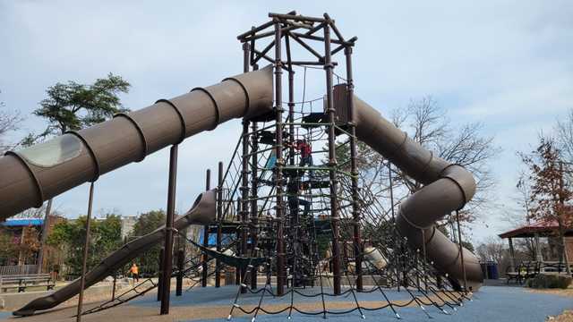 Front of House Team Member