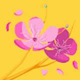Pari avatar icon