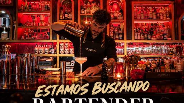 Head bartender