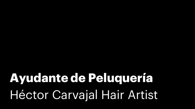 Ayudante de Peluquería