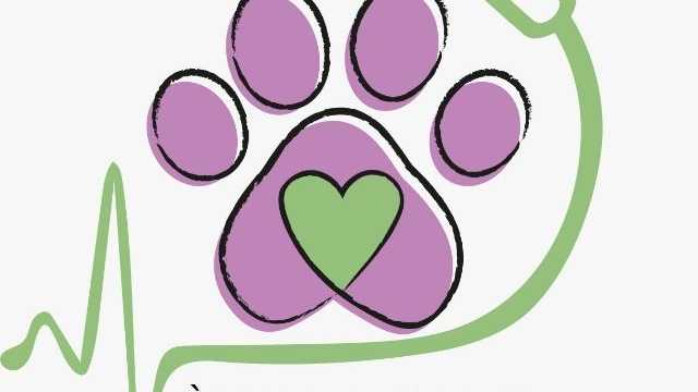 Veterinario