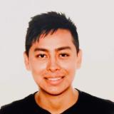 Wladimir Borbor avatar icon