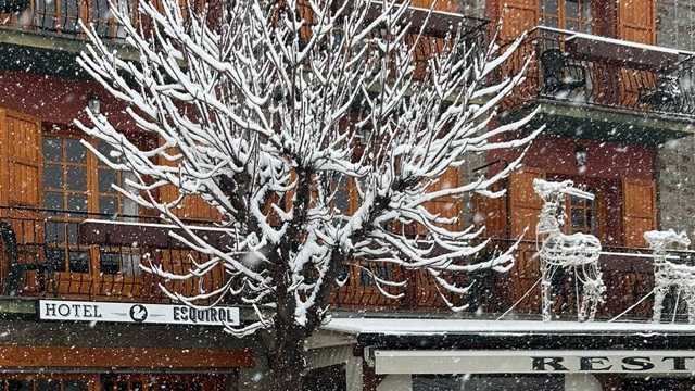 Ayudante de Camarero/a