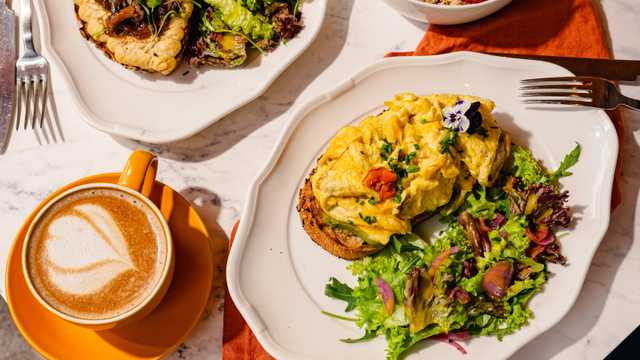 Bartender and Waiter / Waitress