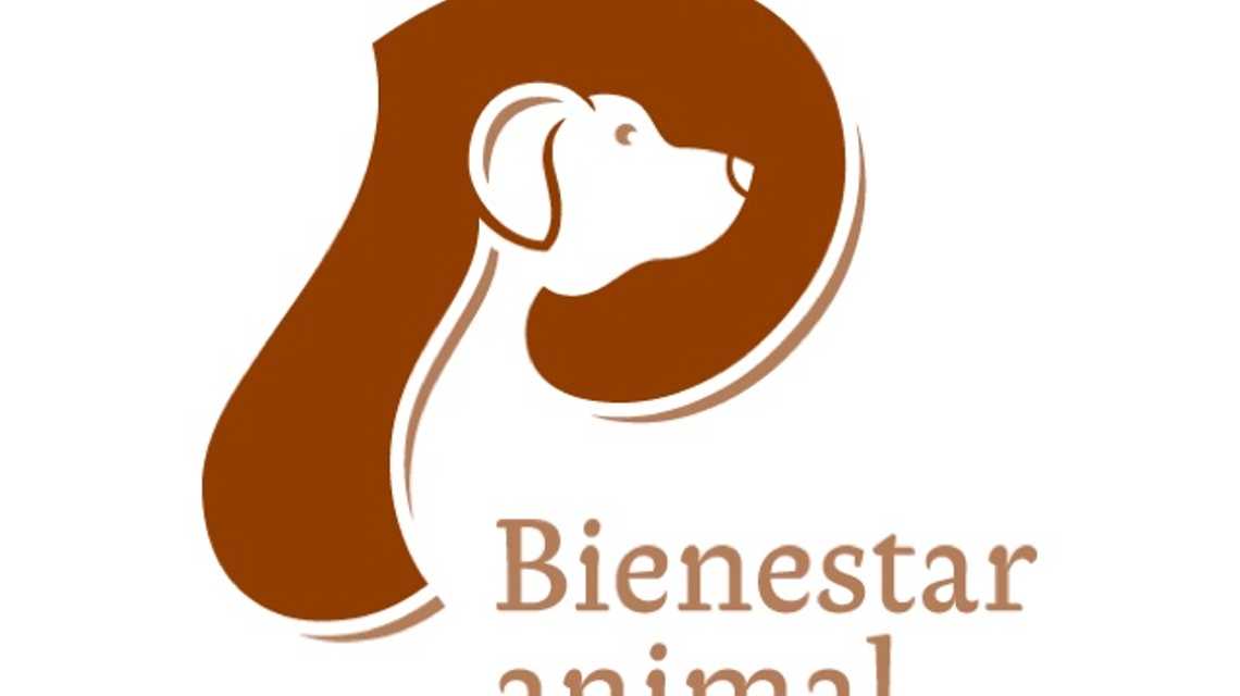 PIENSEO cover image