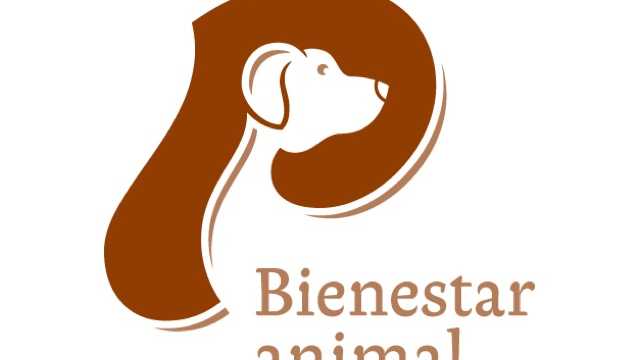 Oficial de Peluquería canino