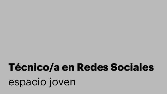 Técnico/a en Redes Sociales