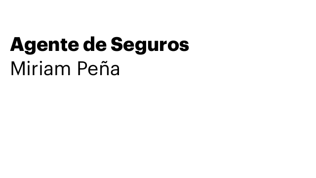 Agente de Seguros