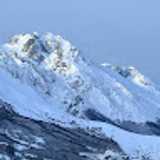 Carmen A. avatar icon