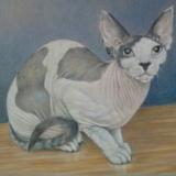 Vicenta L. avatar icon