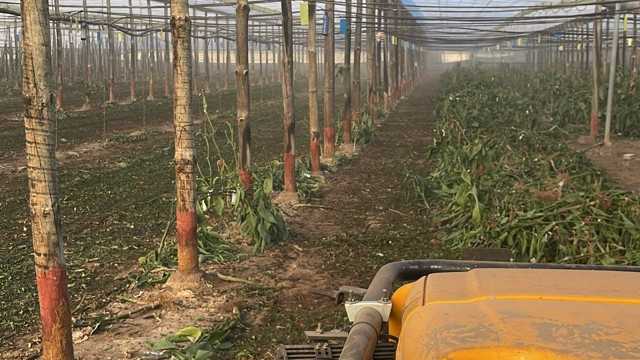 Tractorista - Maquinista