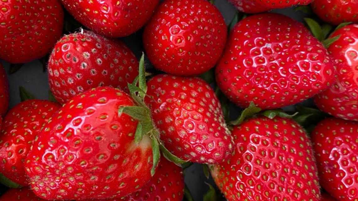 ESVE FRUITS cover image