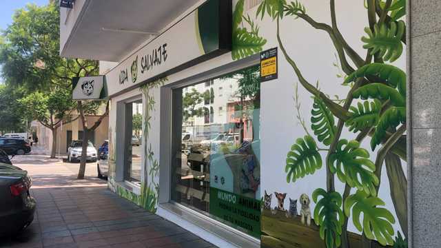 Dependiente/a de Tienda