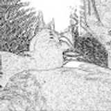 avatar icon