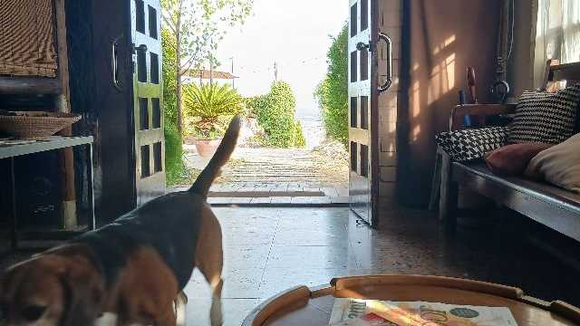 Ayudante/a de Limpieza