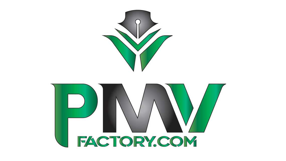 PMV FACTORY S.L. cover image