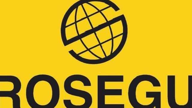 Vigilante de Seguridad