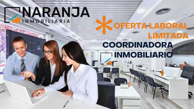 Coordinador/a