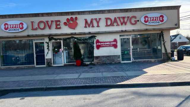 Dog Groomer