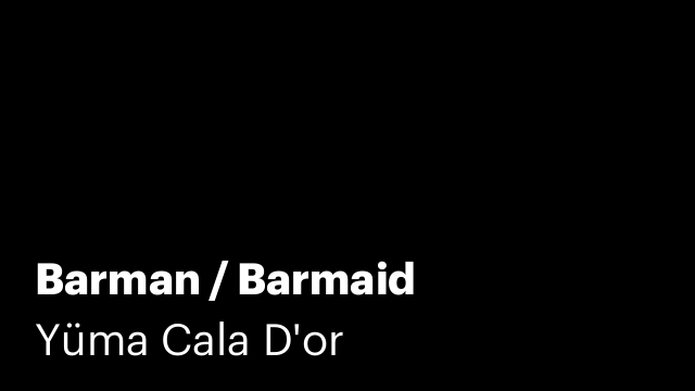 Barman / Barmaid