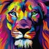 Rubén C. avatar icon