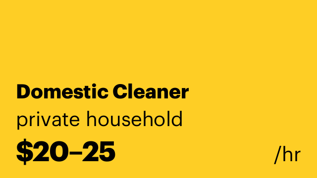 Domestic Cleaner