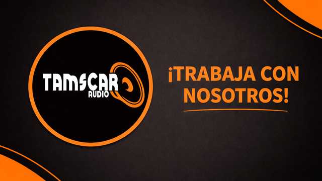 Asistente Polivalente