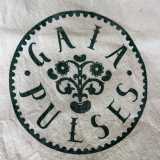 Gaia Pulses logo
