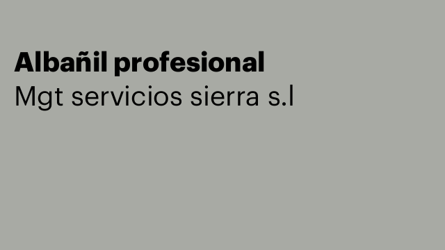 Albañil profesional