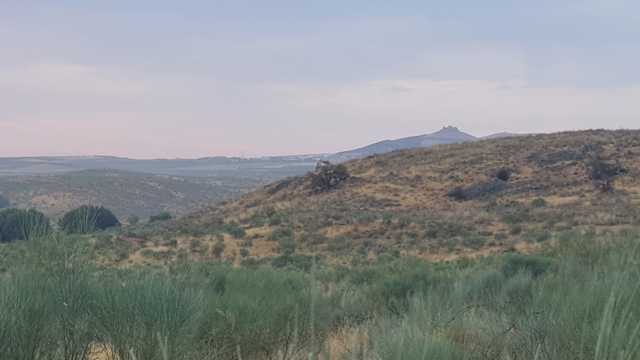 Agricultura