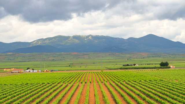 Técnico/a de Bodega