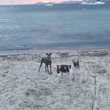 Teresa V. avatar icon