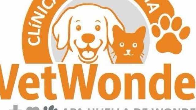 Veterinario Generalista