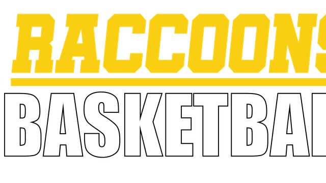 Basketball Coach