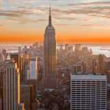 Ally Door Hardware logo