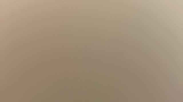 Auxiliar de clínica