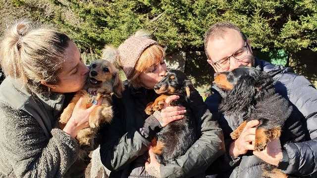 Mechanic / Dog Lover