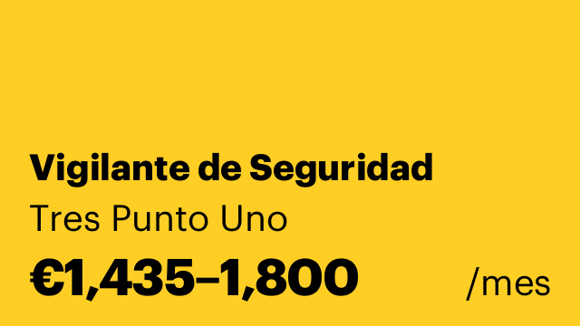 Vigilante de Seguridad