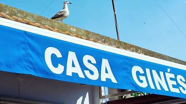 Camarero/a de Barra