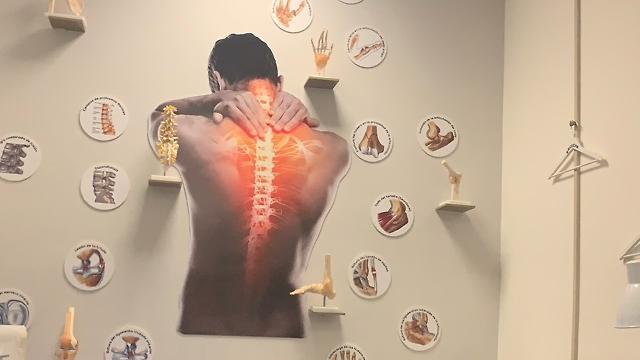 Fisioterapeuta